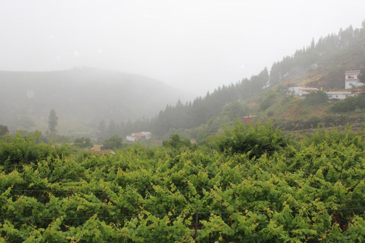 Вилла Finca El Cole Лас-Пальмас-де-Гран-Канария Экстерьер фото